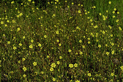 BUITEN BEELD Foto: 441850