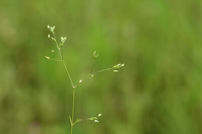 BUITEN BEELD Foto: 441854