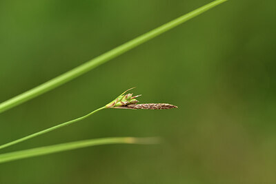 BUITEN BEELD Foto: 441869