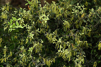 BUITEN BEELD Foto: 441875