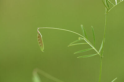 BUITEN BEELD Foto: 441879