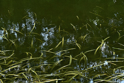 BUITEN BEELD Foto: 441885