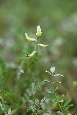 BUITEN BEELD Foto: 441891