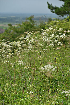 BUITEN BEELD Foto: 441901