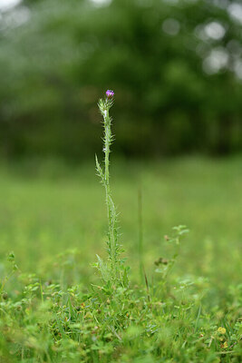 BUITEN BEELD Foto: 441910