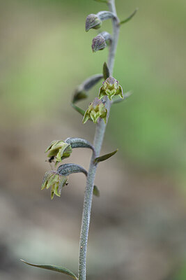 BUITEN BEELD Foto: 441912