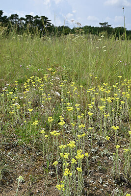 BUITEN BEELD Foto: 441916