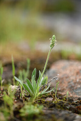 BUITEN BEELD Foto: 441924
