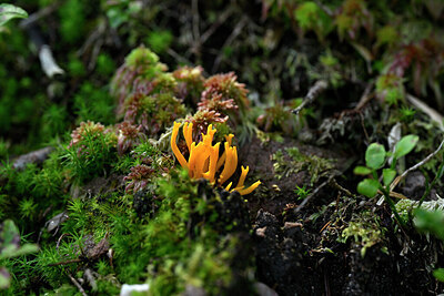 BUITEN BEELD Foto: 441925