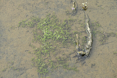 BUITEN BEELD Foto: 441995