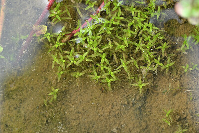 BUITEN BEELD Foto: 442002
