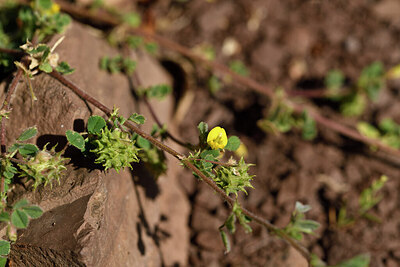 BUITEN BEELD Foto: 442013
