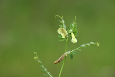 BUITEN BEELD Foto: 442030