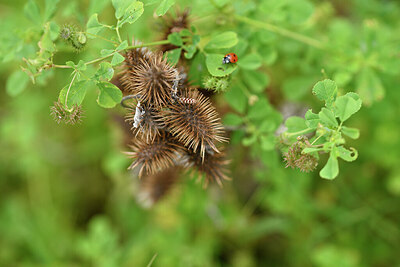 BUITEN BEELD Foto: 442032