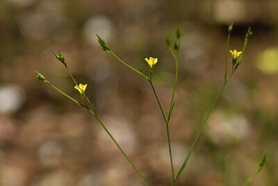 BUITEN BEELD Foto: 442049