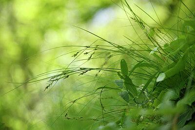 BUITEN BEELD Foto: 442056