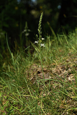 BUITEN BEELD Foto: 442057