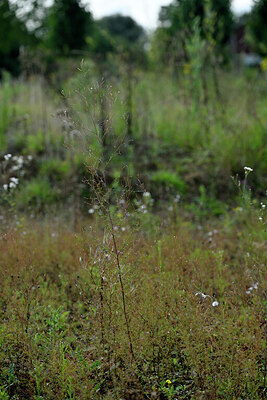 BUITEN BEELD Foto: 442060