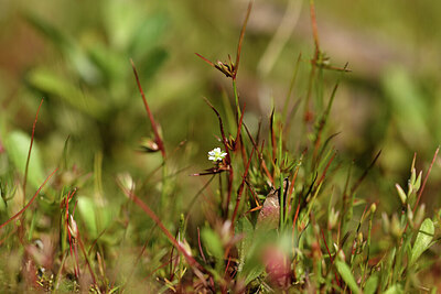 BUITEN BEELD Foto: 442069