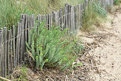 BUITEN BEELD Foto: 442070