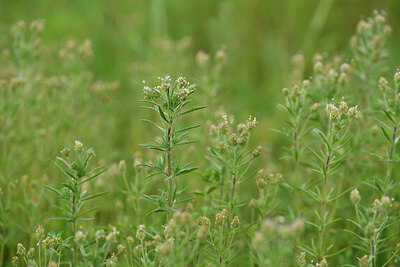BUITEN BEELD Foto: 442080
