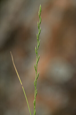 BUITEN BEELD Foto: 442085