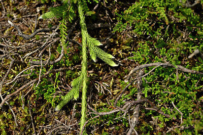 BUITEN BEELD Foto: 442095