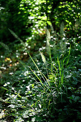 BUITEN BEELD Foto: 442096
