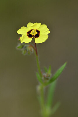 BUITEN BEELD Foto: 442098