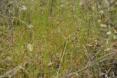 BUITEN BEELD Foto: 442115