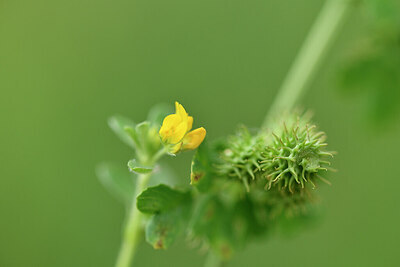 BUITEN BEELD Foto: 442117