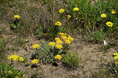 BUITEN BEELD Foto: 442124