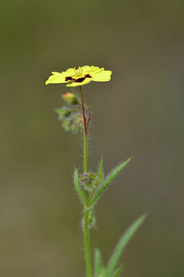 BUITEN BEELD Foto: 442141