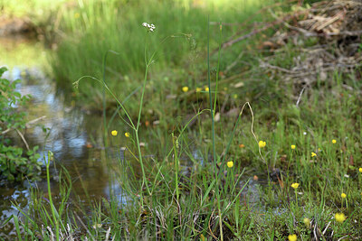 BUITEN BEELD Foto: 442143