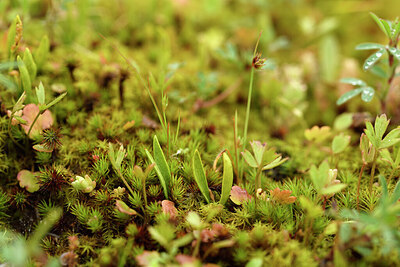 BUITEN BEELD Foto: 442148
