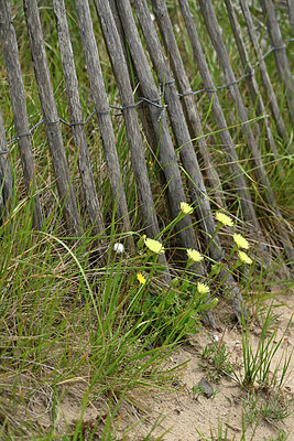 BUITEN BEELD Foto: 442175
