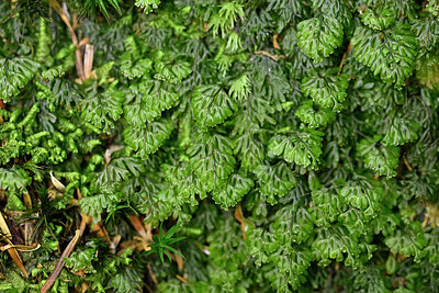 BUITEN BEELD Foto: 442190