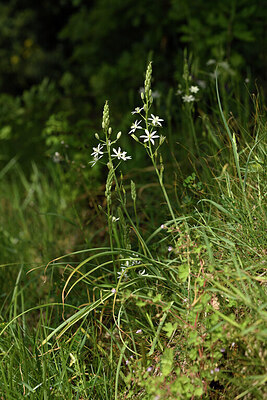 BUITEN BEELD Foto: 442193