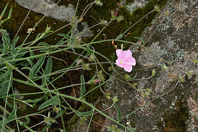 BUITEN BEELD Foto: 442202