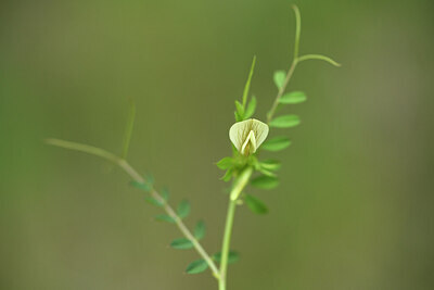 BUITEN BEELD Foto: 442203