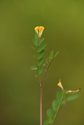 BUITEN BEELD Foto: 442222