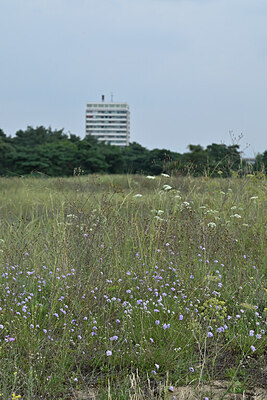 BUITEN BEELD Foto: 442227