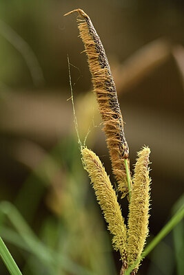 BUITEN BEELD Foto: 442236