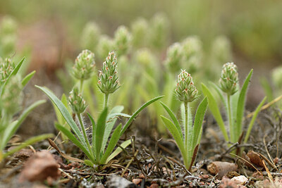 BUITEN BEELD Foto: 442251