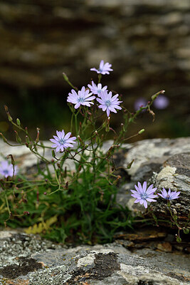 BUITEN BEELD Foto: 442252