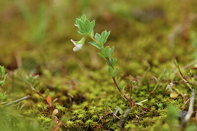 BUITEN BEELD Foto: 442255