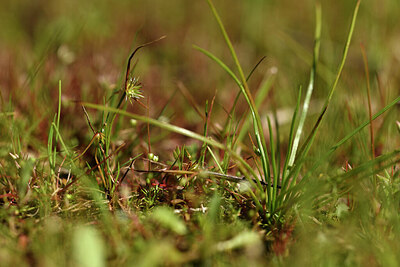 BUITEN BEELD Foto: 442269