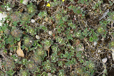 BUITEN BEELD Foto: 442278
