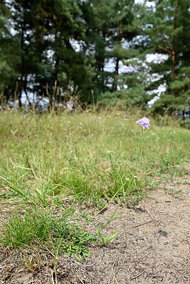 BUITEN BEELD Foto: 442295