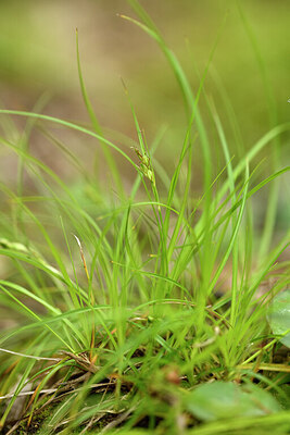 BUITEN BEELD Foto: 442300